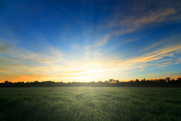 Sunrise on Fields