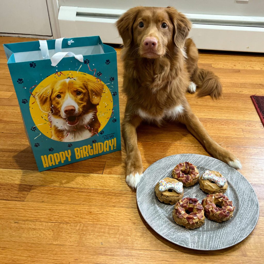 Peanut butter outlet bacon dog donuts